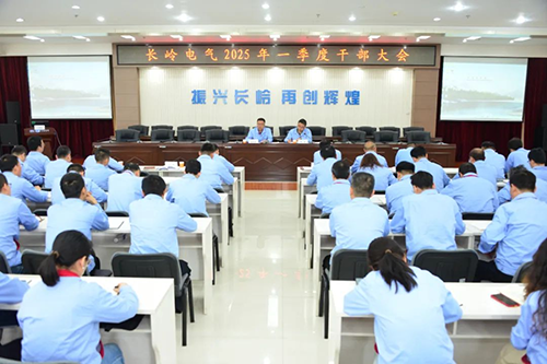 南宫NG电能召开2025年一季度干部大会